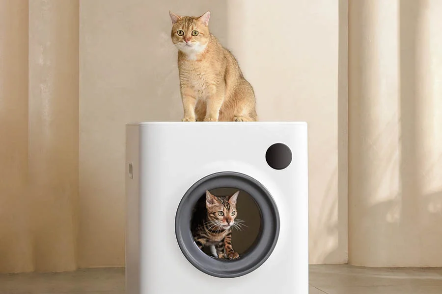 automated cat litter