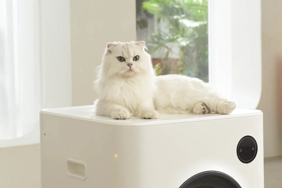 auto litterbox