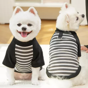 Turn a Human Hoodie Into a Cozy Dog Hoodie