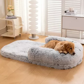 Foldable Orthopedic Dog Bed: Joint Support Anywhere